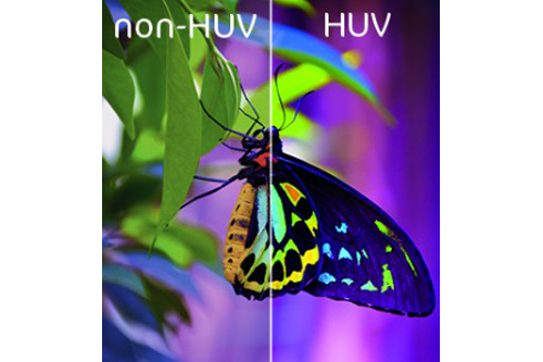 Perfect color and definition of a butterfly picture by HUV printing