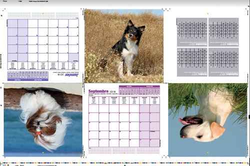 A printing with signatures of 6 pages in total