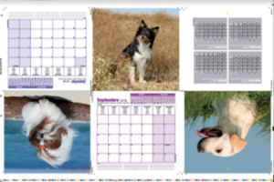 A catalog or printing with signatures of 6 pages in total