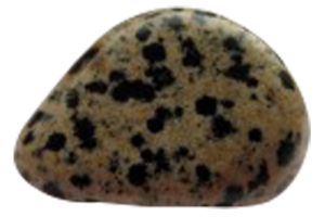 Beautiful sedimentary stone with a brown background and black polka dots