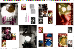 A catalog or printing with signatures of 8 pages in total