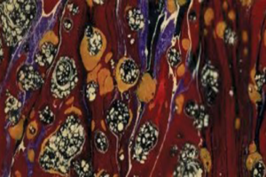 Cloth print inspiration for fore-edge painting