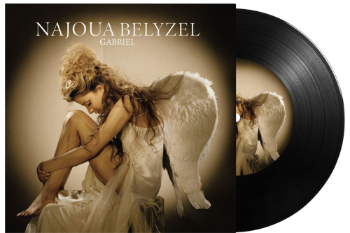 The box contains a Vynil pocket