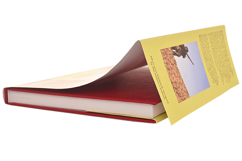 Book a jacket are extensions of the book cover